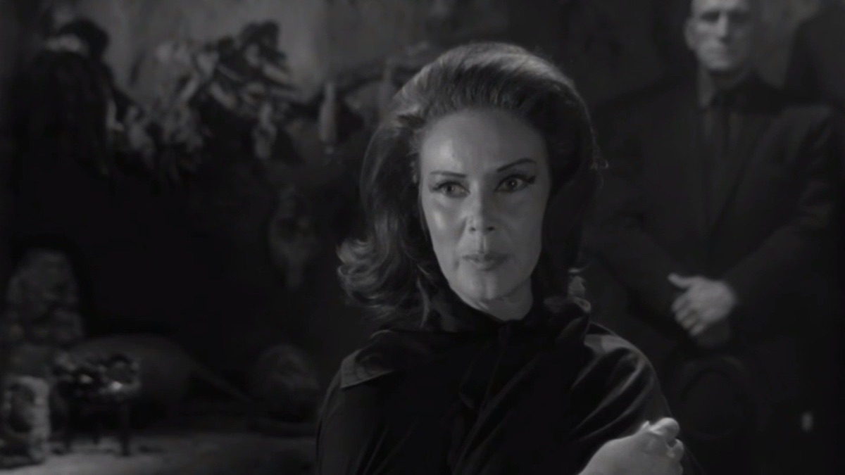 Las mujeres pantera - Apple TV (MX)
