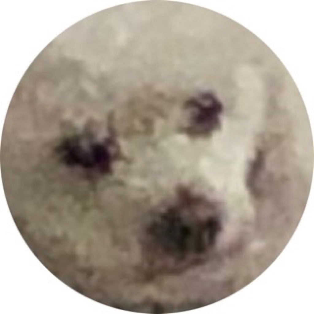 AppleMusic profile picture for @barrels