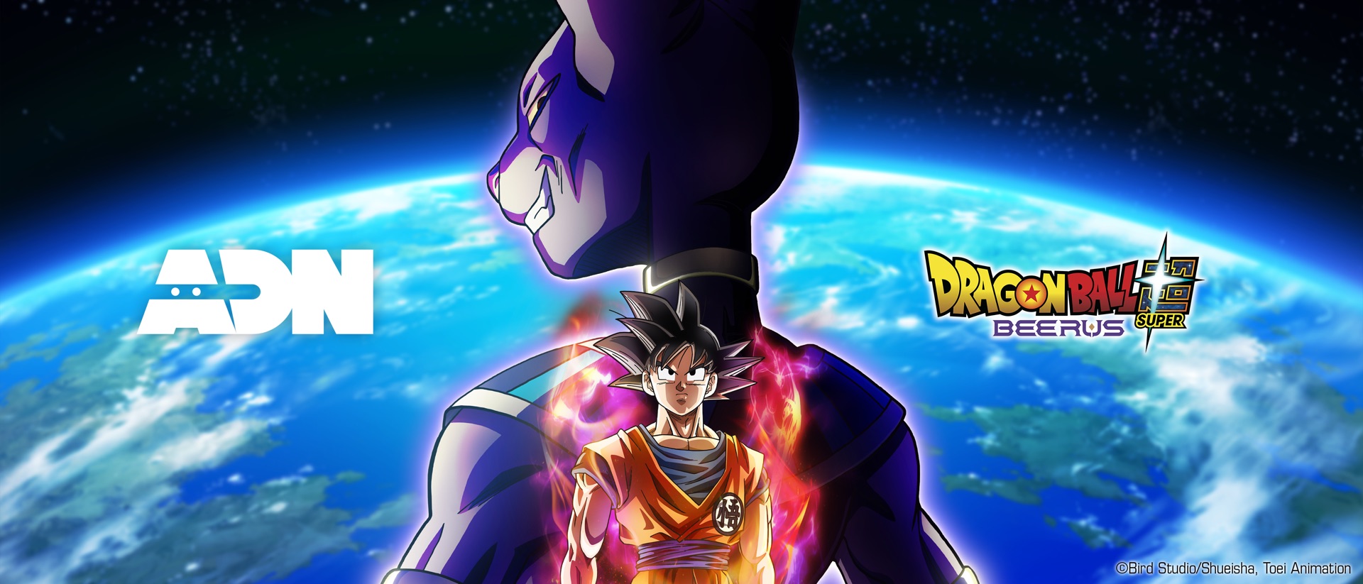 ADN Animation Digital Network product page header