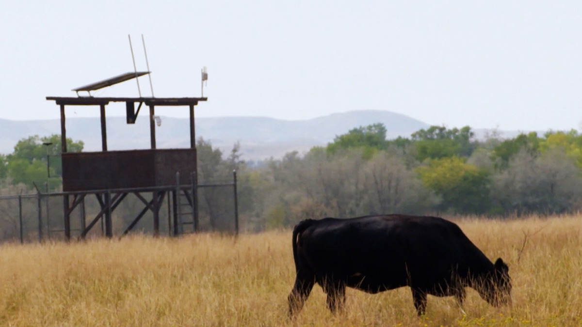 Scoped Out - The Curse Of Skinwalker Ranch (Series 3, Episode 4