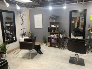 The Catwalk Salon