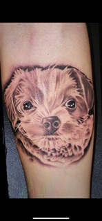 Living Canvas Tattooing & Body Piercing Studio photo 8