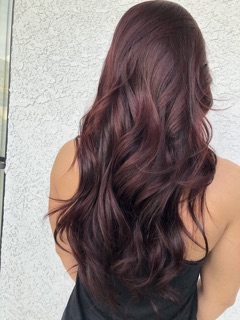 Harlow Salon