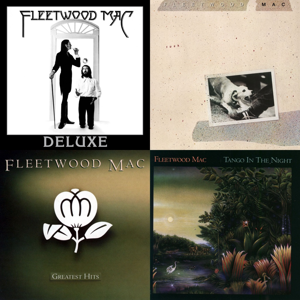 Fleetwood Mac: Next Steps
