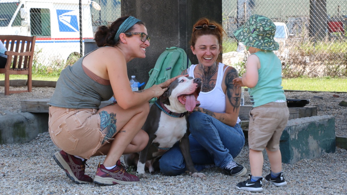 Evading Capture - Pit Bulls and Parolees (Season 18, Episode 1) - Apple TV