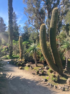 Arizona Garden in Stanford, CA United States - Apple Maps
