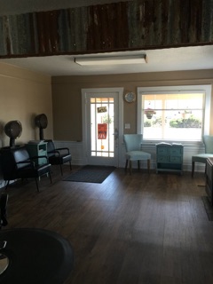 Wild Roots Hair Salon