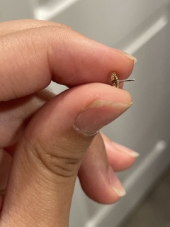 Haight Ashbury Tattoo And Piercing