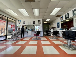 Mesa Hair Styling