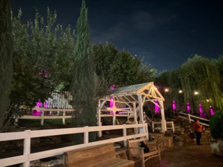 Hacienda Buffet