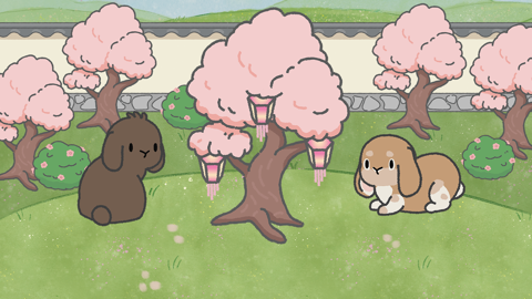 Read more about Hanami Blossom Event