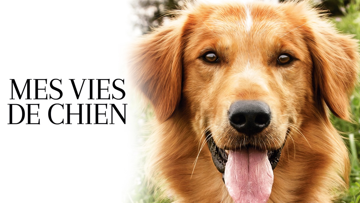 ‎Mes vies de chien - Apple TV