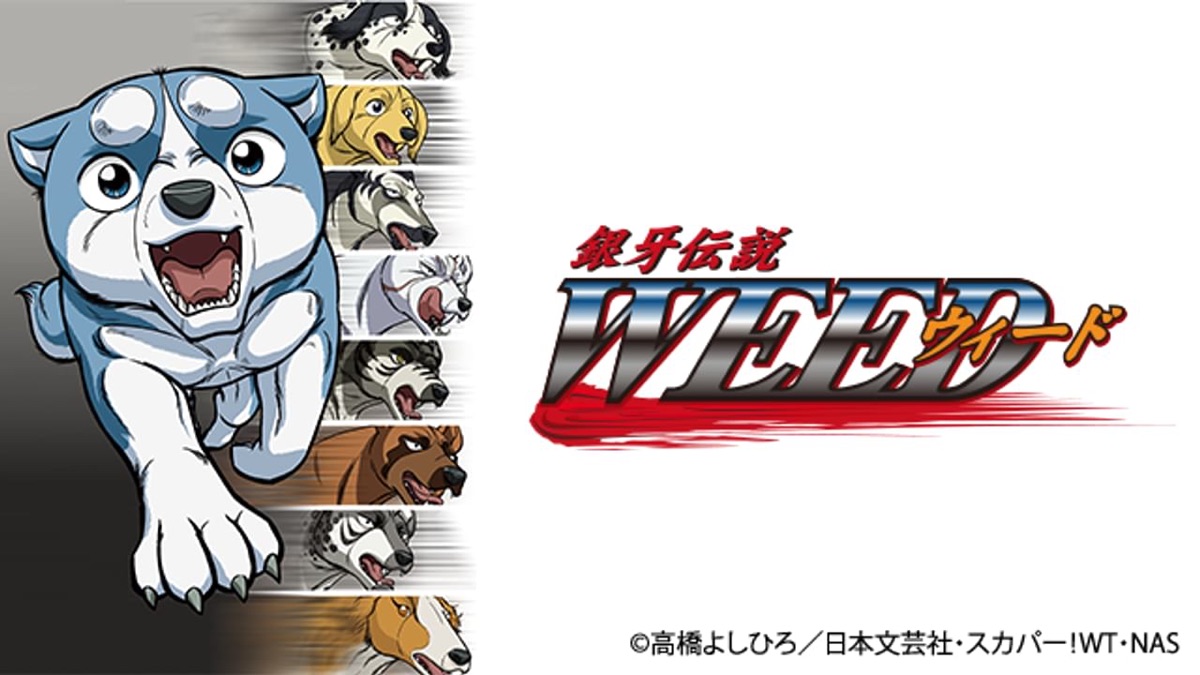 銀牙伝説WEED - Apple TV