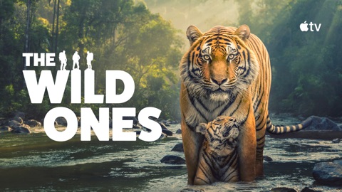 The Wild Ones