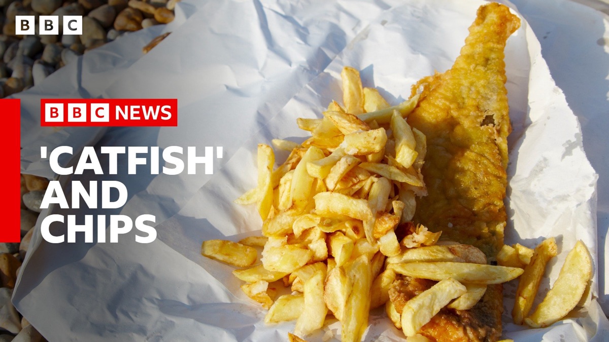 ‎Chippies Sell Catfish as 'Traditional Fish Supper' - Apple TV