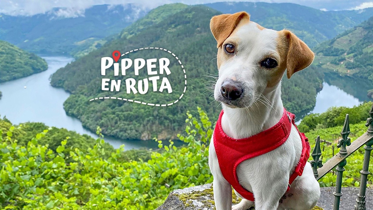 ‎Pipper en ruta - Apple TV