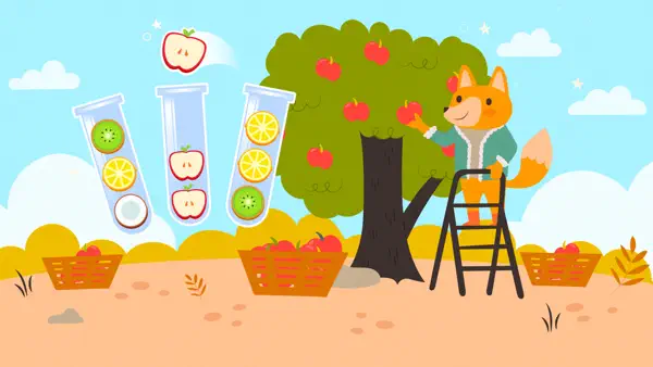 Fruit Sorting Games