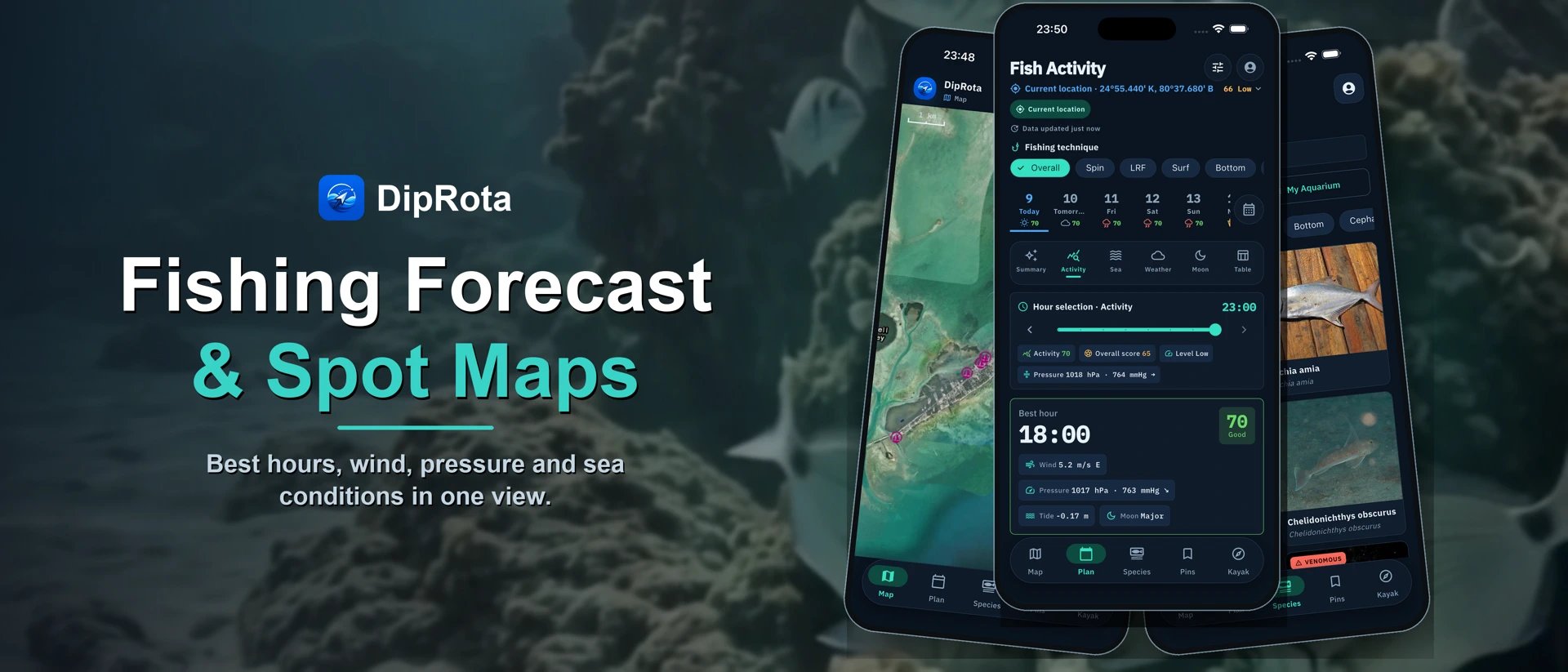 Fishing Planner: DipRota product page header