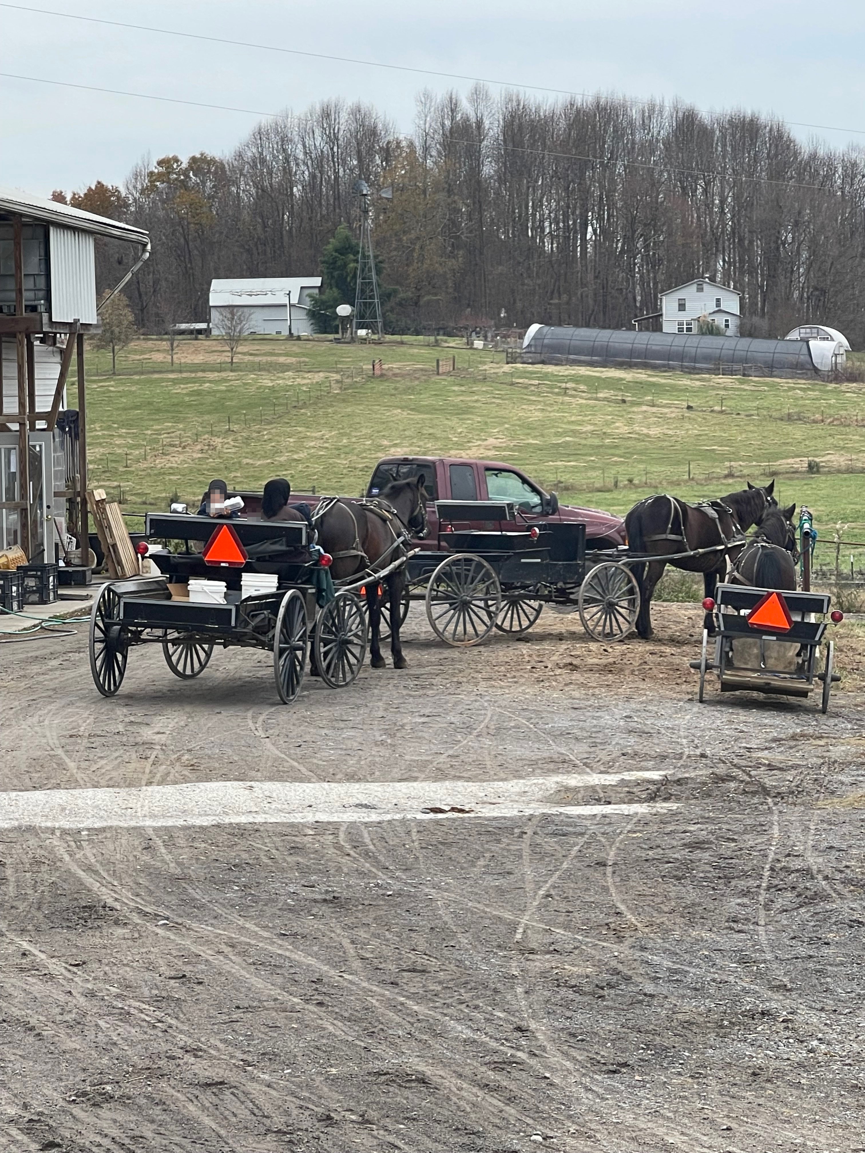 Delano Community Farm Market