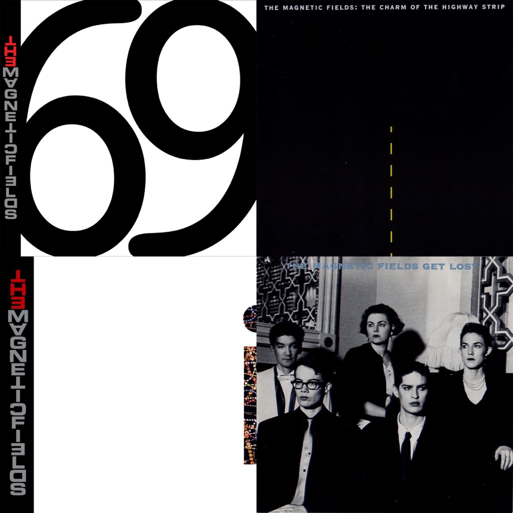 The Magnetic Fields: Next Steps