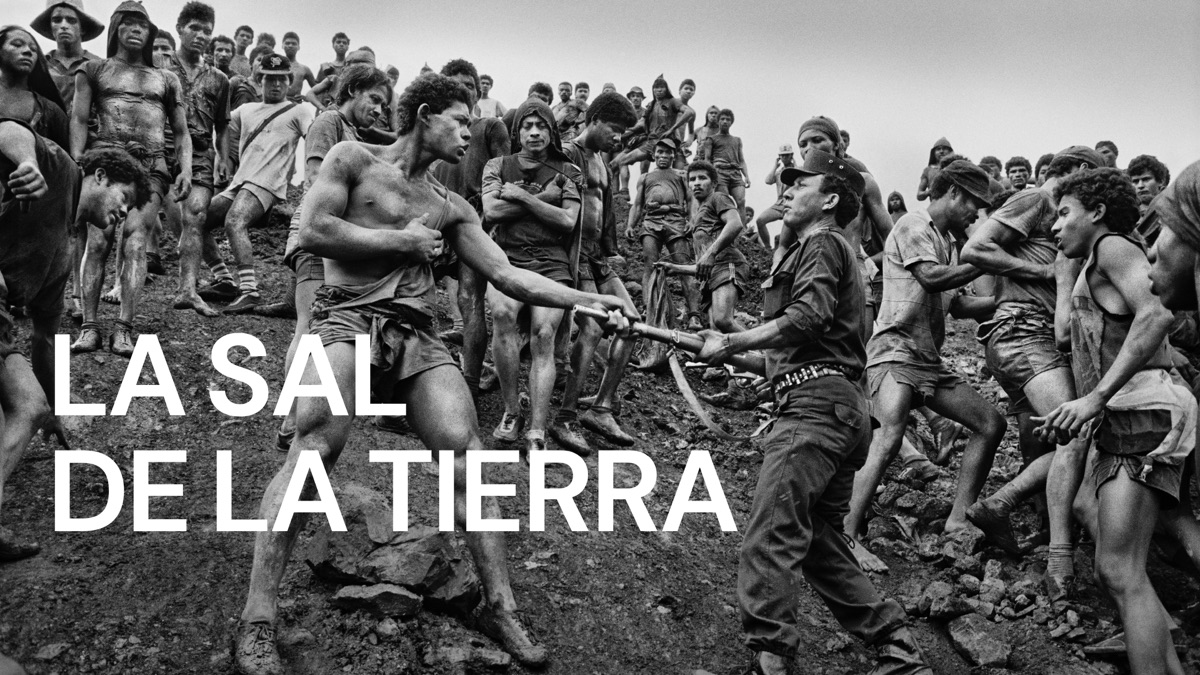 Descargar La Sal De La Tierra