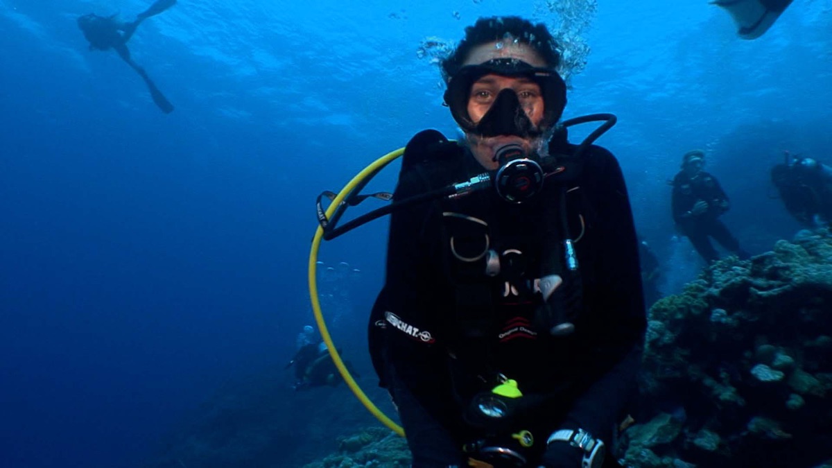Reef Sharks - The Money Shark – Sarah Shark (Season 1, Episode 4 ...