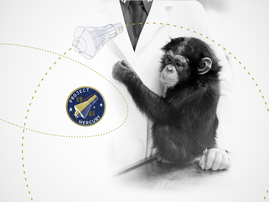 Ham The First Astrochimp - Apple TV