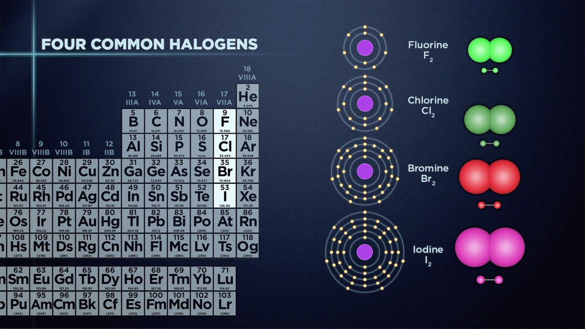 What Are Halogens Reactive With