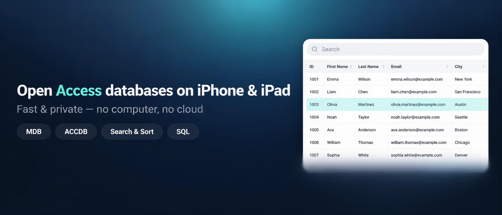 Access Database Viewer: MDB AI product page header