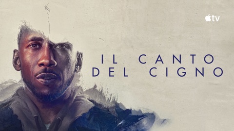 Il canto del cigno