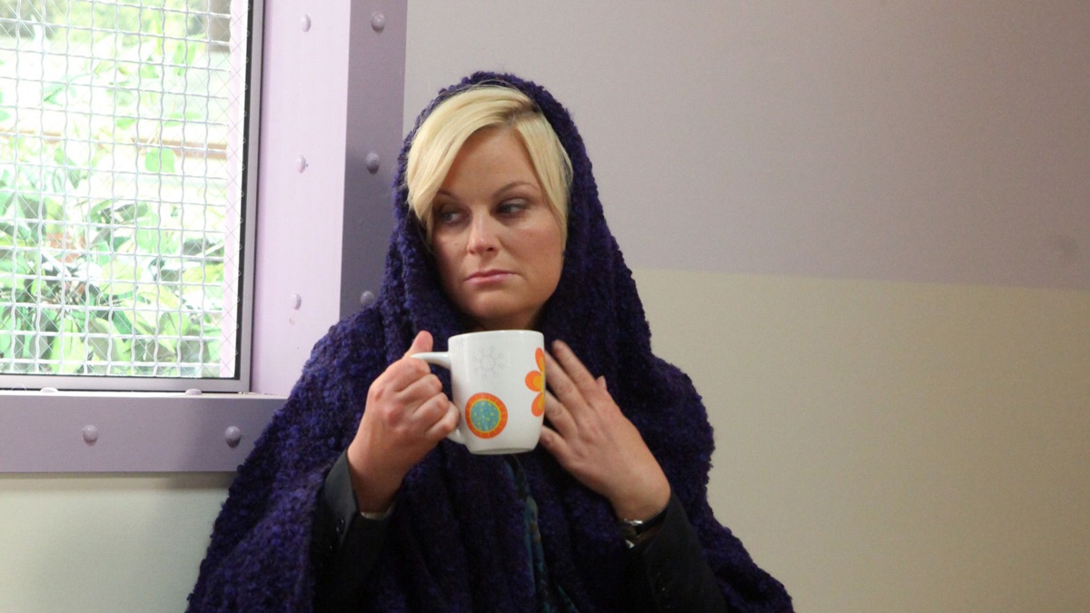 ‎Eagleton - Parks And Recreation (Series 3, Episode 12) - Apple TV (SA)