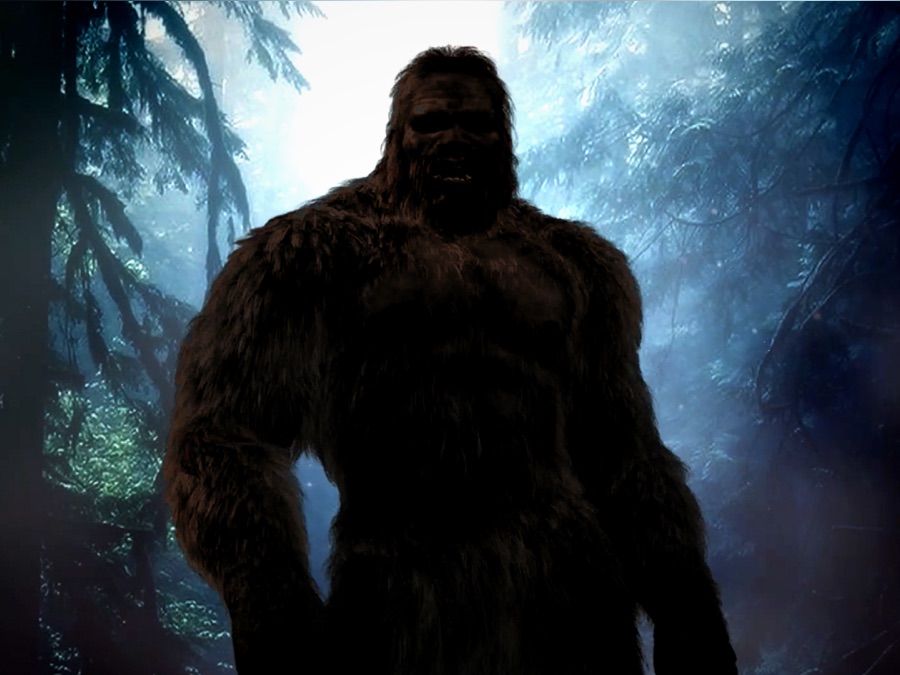 Chasing Bigfoot The Quest For Truth Apple TV (UK)