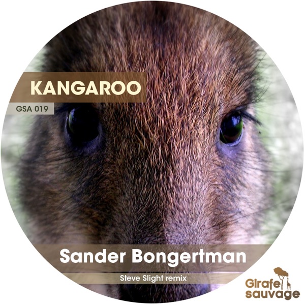 Kangaroo - Single