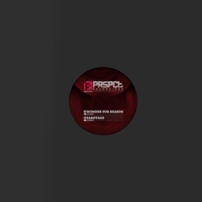 Wonder for Reason - Single