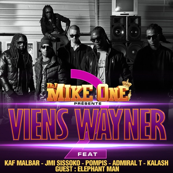 Viens Wayner 2 (feat. Kaf Malbar, Jmi Sissoko, Pompis, Admiral T, Kalash & Elephant Man)