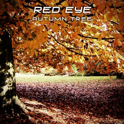 Autumn Tree - Single