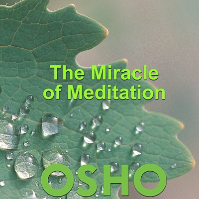 The Miracle of Meditation - EP
