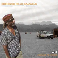 Aids — Ebenezer Kojo Samuels