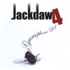 Jackdaw4