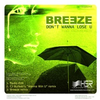 Don't Want to Lose You - EP - Breeze