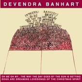 Devendra Banhart - Nice People...