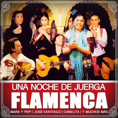 Una Noche De Juerga Flamenca