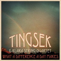 What a Difference a Day Makes - Single - Tingsek