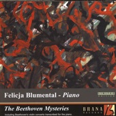 Piano Concerto in D Major: Allegro artwork