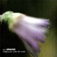 Anatomy Of A Plastic Girl — The Opiates