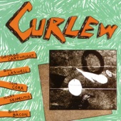 Curlew - Panther Burn