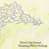 Forest City Lovers - Don't Go
