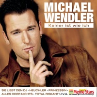Michael Wendler - Heuchler
