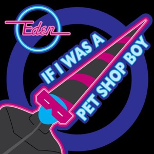 If I Was A Pet Shop Boy (Radio Edit)