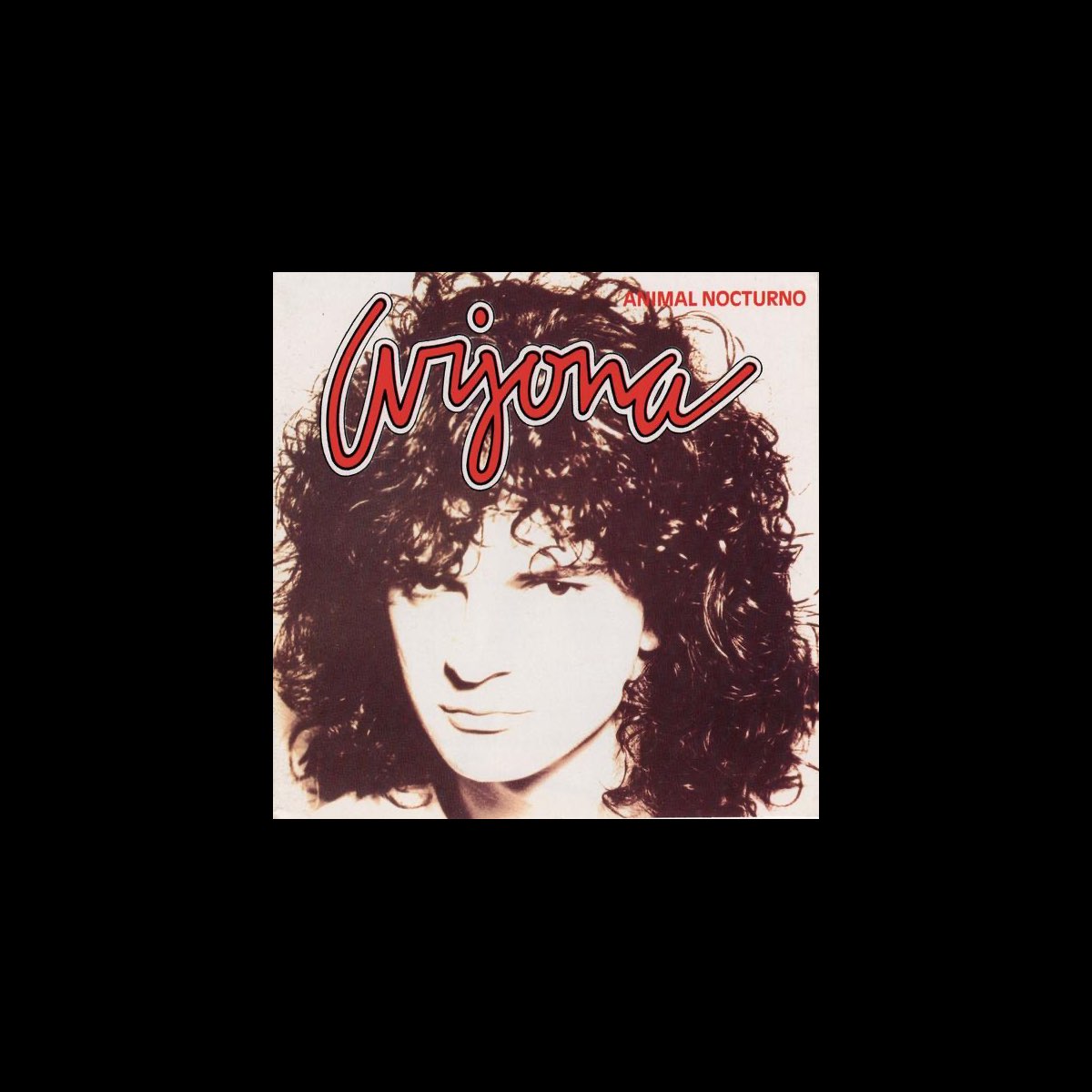 ‎Animal Nocturno Ricardo Arjonaのアルバム Apple Music